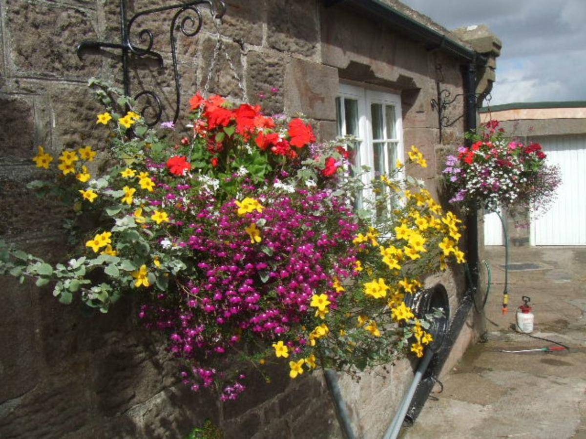 The Old School House Berwick Upon Tweed Exterior foto
